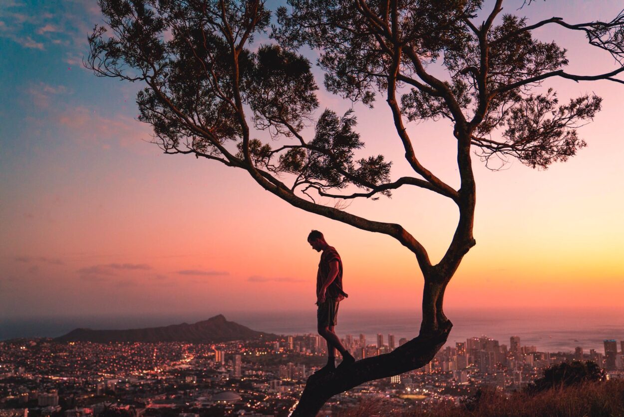 man standing on tree branch during sunset